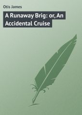 A Runaway Brig: or, An Accidental Cruise