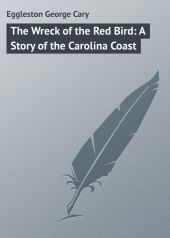 The Wreck of the Red Bird: A Story of the Carolina Coast