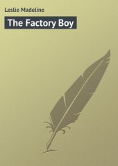 The Factory Boy