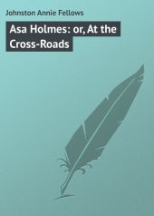Asa Holmes: or, At the Cross-Roads