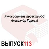 Руководитель проекта ICQ Александр Горный