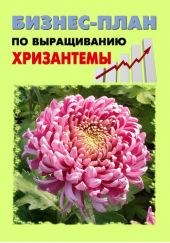 Бизнес-план по выращиванию хризантемы