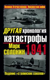 Другая хронология катастрофы 1941. Падение «сталинских соколов»