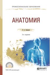 Анатомия 2-е изд., испр. и доп. Учебное пособие для СПО