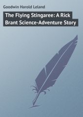 The Flying Stingaree: A Rick Brant Science-Adventure Story