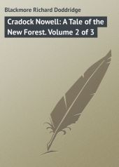 Cradock Nowell: A Tale of the New Forest. Volume 2 of 3