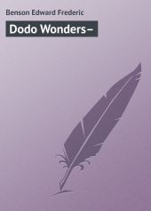 Dodo Wonders–