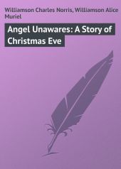 Angel Unawares: A Story of Christmas Eve