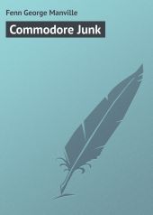 Commodore Junk