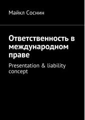 Ответственность в международном праве. Presentation & liability concept