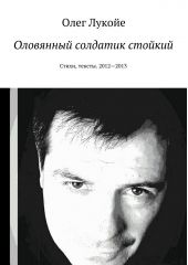 Оловянный солдатик стойкий. Стихи, тексты. 2012—2013